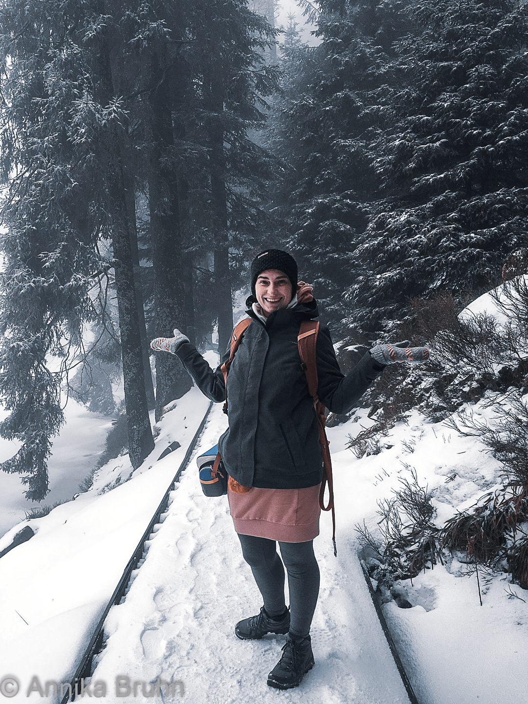 Tada Schnee